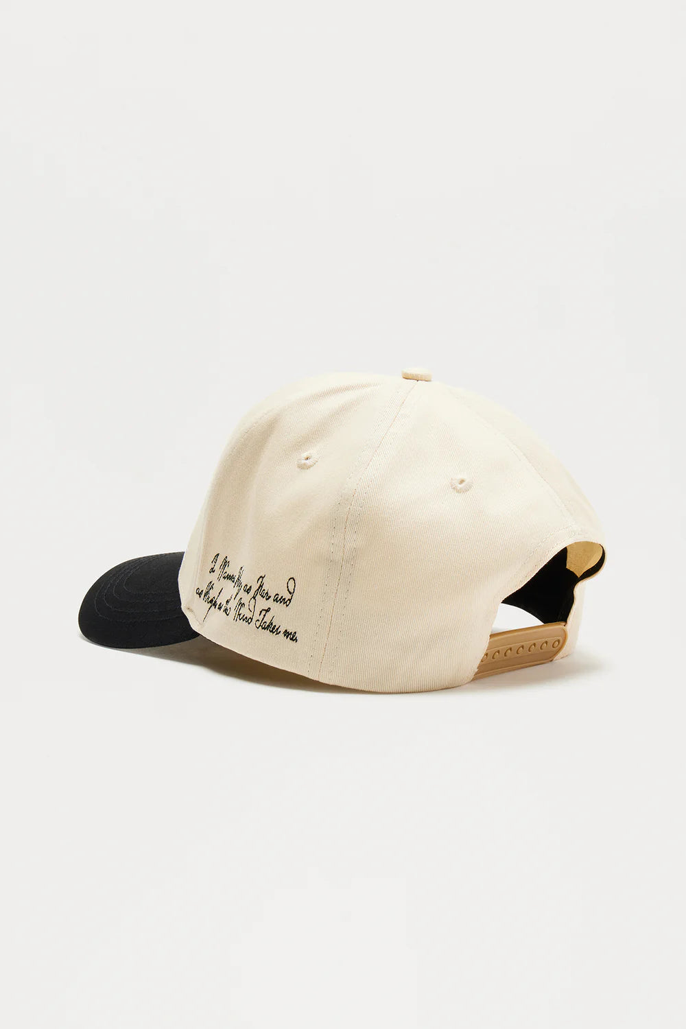 Wing Hills Snapback Hat